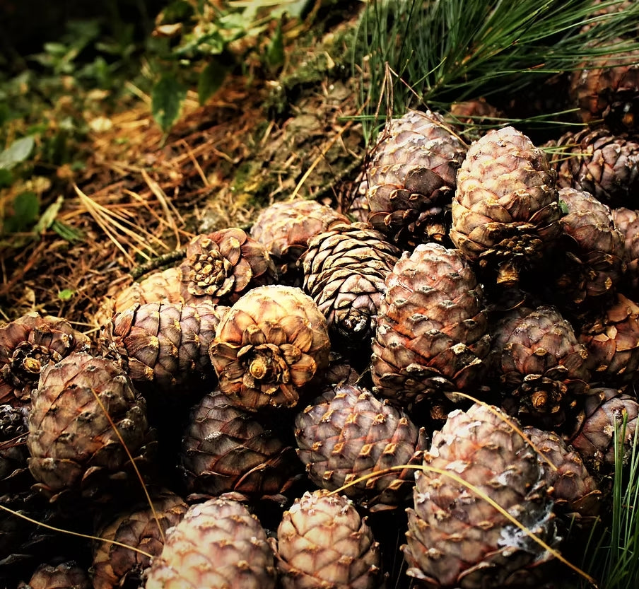 Naturflamme